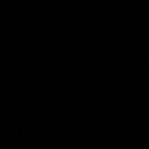 Meet your Posher, Deanna